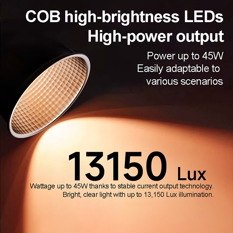 Luce Video RGB 60W Portatile L - Photography Lighting Rgb recensione e prezzo